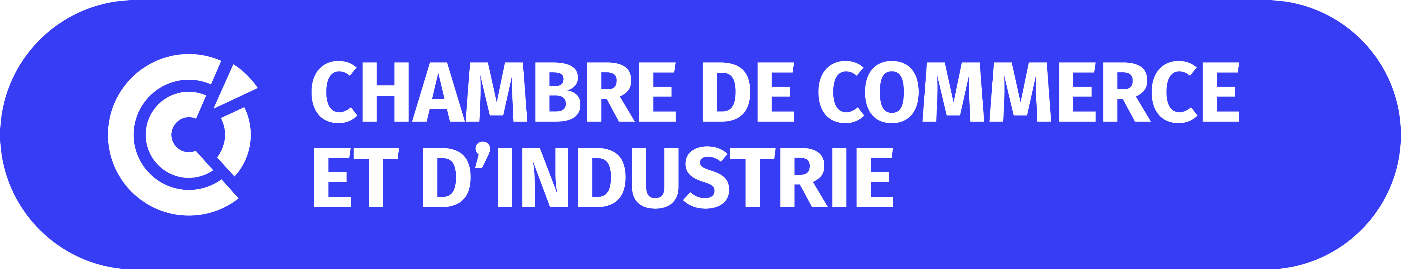 logo-CCI-png