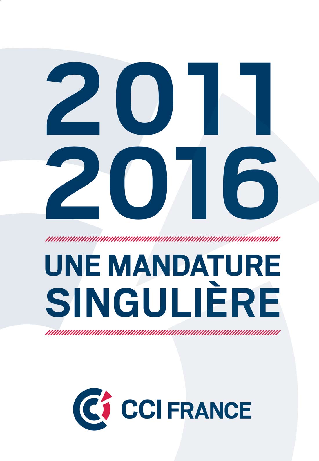cover2011