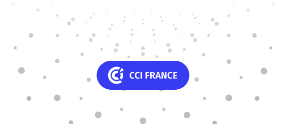 voeux_mailing_bot ccifrance