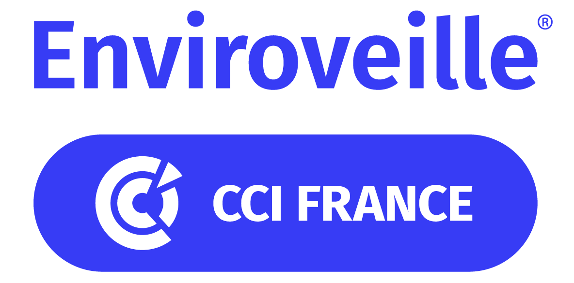 LOGO - Enviroveille_2019 - RVB-01