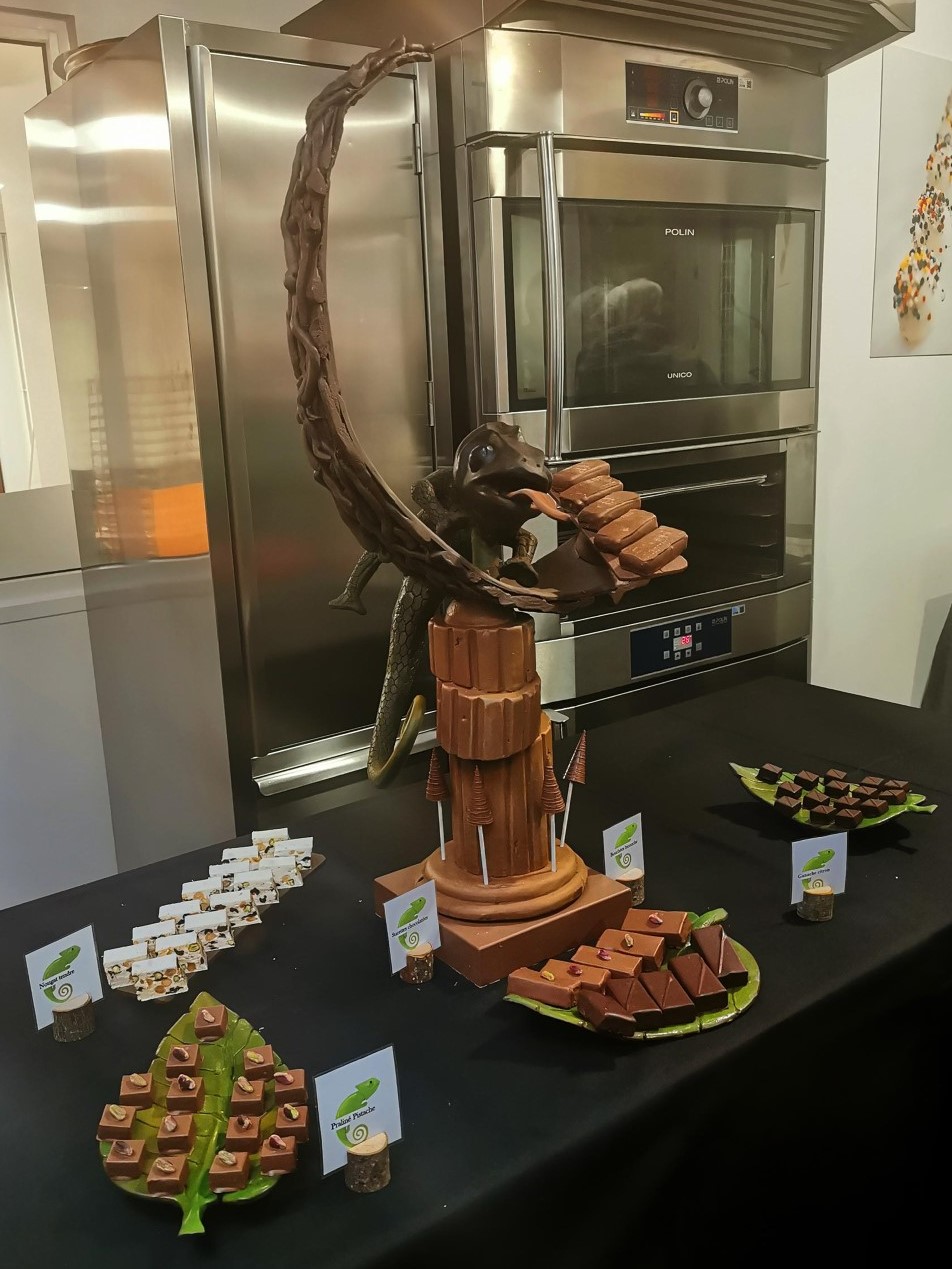 Caméléon, Titouan Hamon, Chocolatier, MAF, Meilleur apprenti France, Chocolat