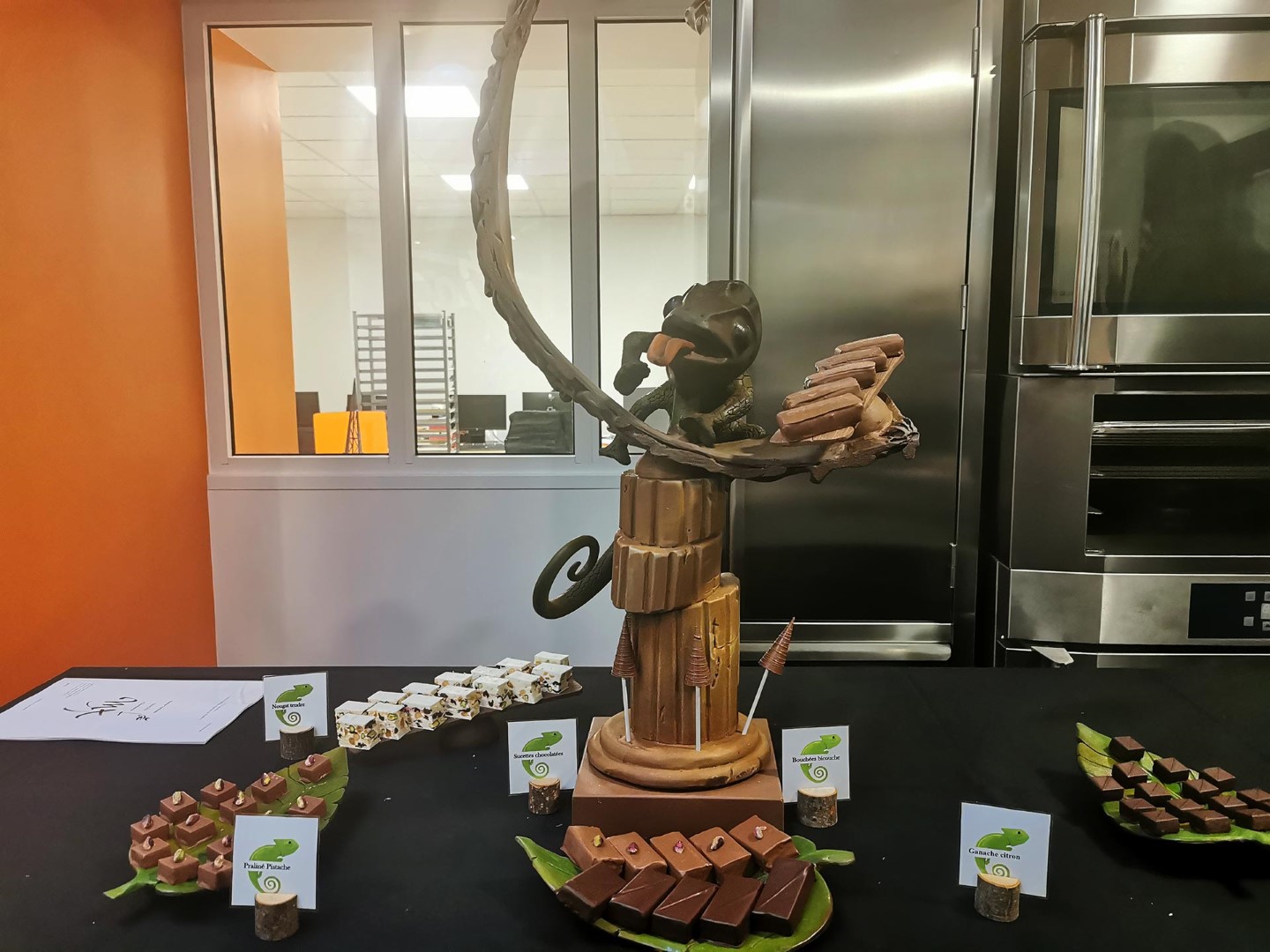 Caméléon, Titouan Hamon, Chocolatier, MAF, Meilleur apprenti France, Chocolat