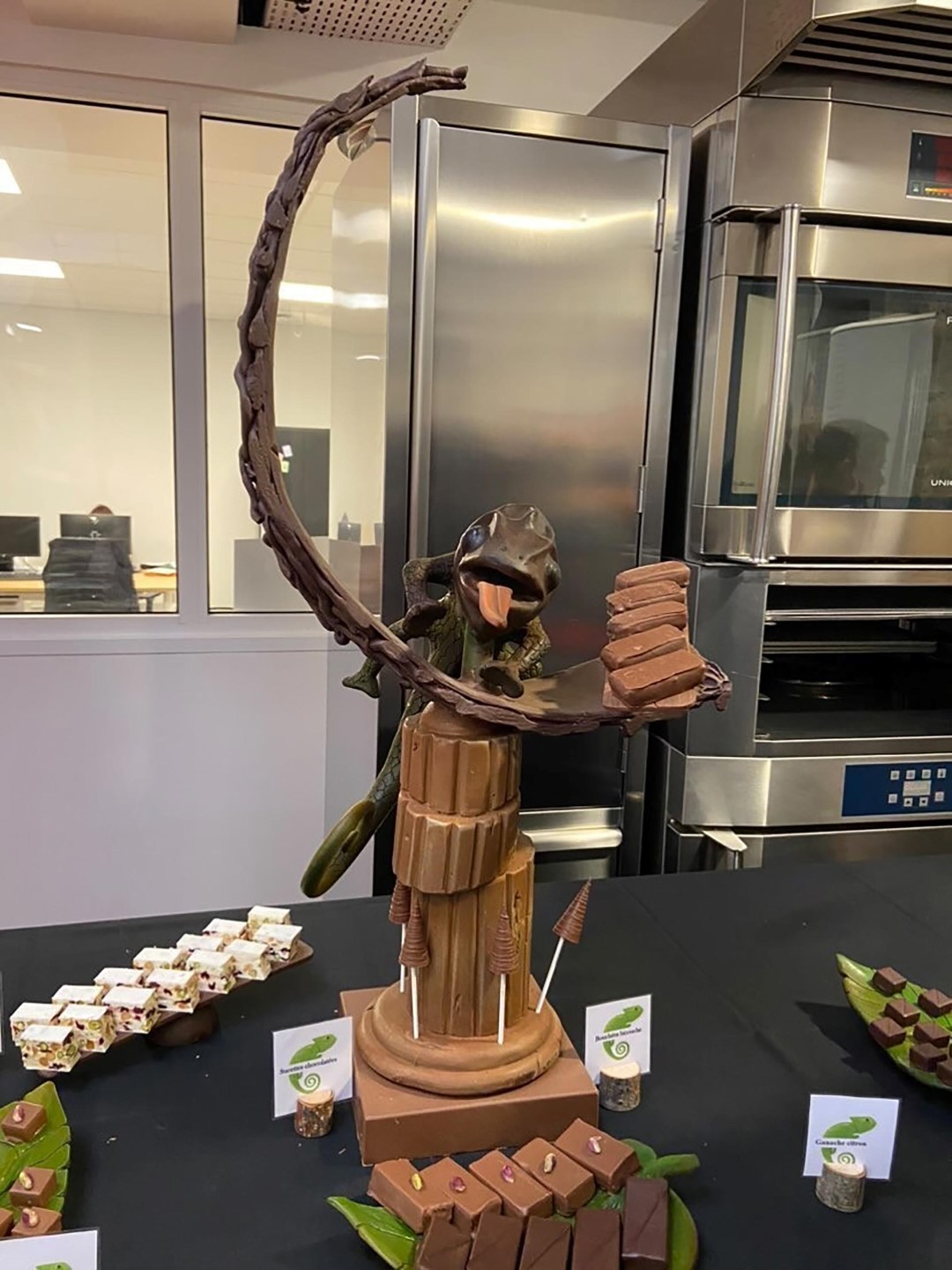 Caméléon, Titouan Hamon, Chocolatier, MAF, Meilleur apprenti France, Chocolat
