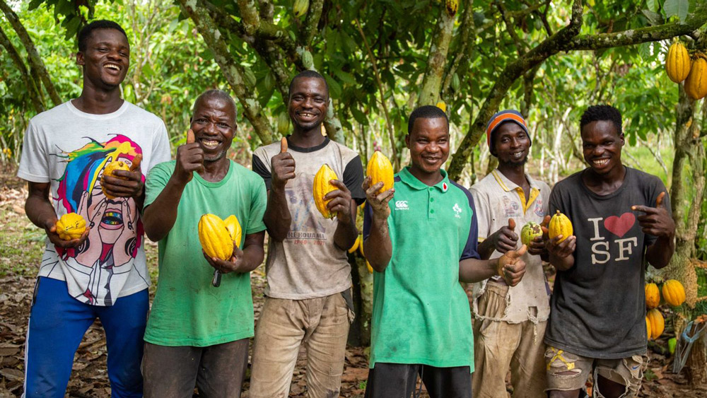 agriculteur-cacao