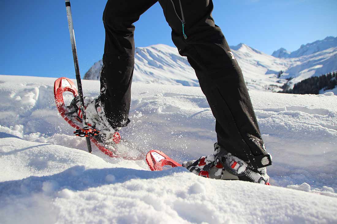 snowshoes