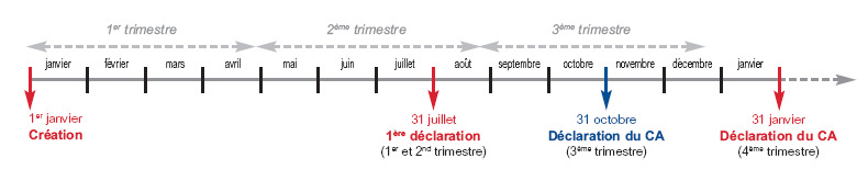 option trimistrielle