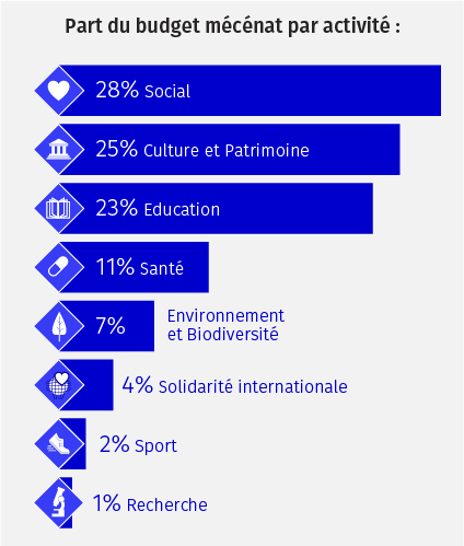mécénat budget