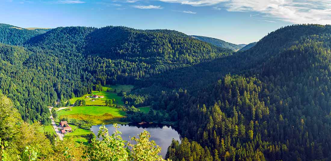 vosges